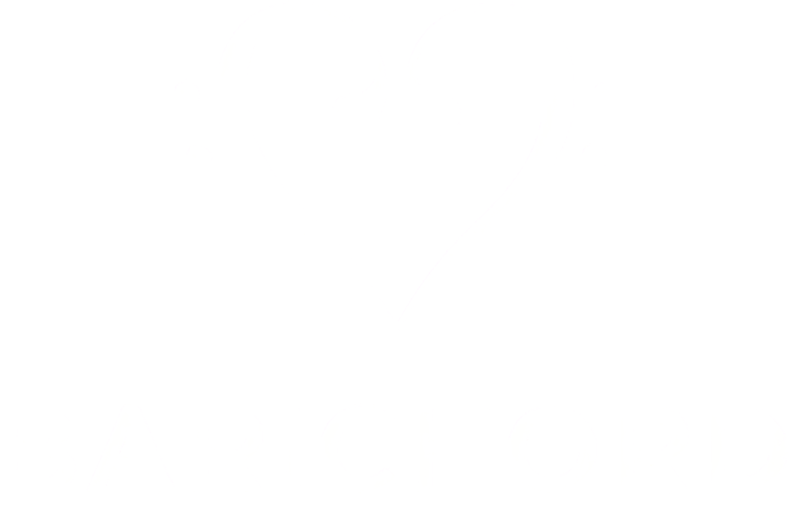 logo barichord